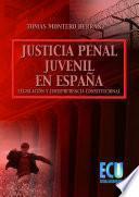 libro La Justicia Penal Juvenil En España: Legislación Y Jurisprudencia Constitucional